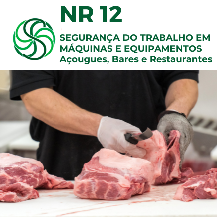 NR 12- SEGURAN&Ccedil;A NO TRABALHO EM M&Aacute;QUINAS E EQUIPAMENTOS  (A&Ccedil;OUGUES, BARES E RESTAURANTES)